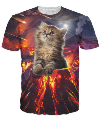 Rad Kitten Tshirt Prize