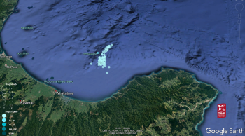 Earthquakes located so far in the Bay of Plenty swarm