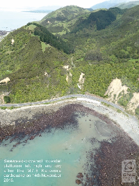 Kaikoura- view from above