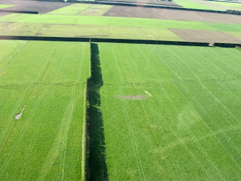 Aerial shot of the Greendale Fault