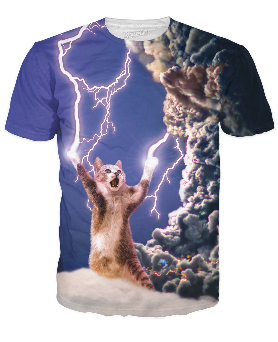kitten-volcano tshirt