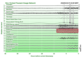 Figure two: a longer wave period marks when the tsunami arrived at the Gisborne coastal tsunami gauge. 