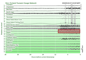 Figure two: a longer wave period marks when the tsunami arrived at the Gisborne coastal tsunami gauge. 