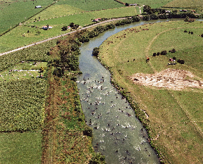 Fault crossing the  River