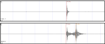 The top seismograph shows our system detecting the first P waves arriving from a nearby earthquake.  Because the earthquake was nearby the slower S waves arrive very soon afterwards and you cannot distinguish them on the seismograph.  The bottom seismograph shows our system detecting the first P waves arriving from a distant earthquake (the red line).  Because the earthquake was far away, the slower S waves take a while longer to turn up – so long that our system thinks they are the P waves from a new earthquake (the orange line).