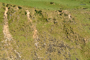 Rockfalls and cracks on a slope above Pahiatua