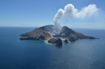 Steam and gas plume at Whakaari/White Island 1 November 2021 