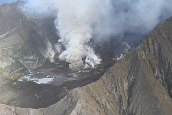 Figure 1. This image captured on Friday (July 12th) shows a plume of gas and steam emitting from a vent. Minor amounts of brown non-eruptive ash can also be seen near the vent at the base of the plume.