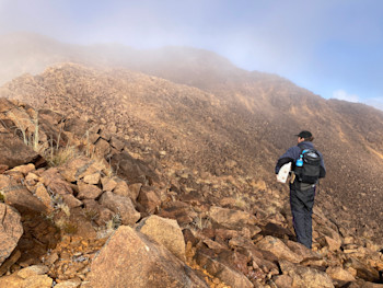 This is the famous red hills of the Dun Mountain ophiolite. Half of these are up in Nelson moved along by the Alpine Fault. The landscape is remarkable. 
