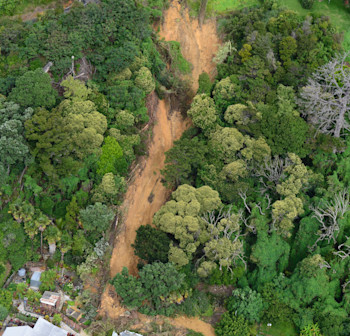 Figure 5: Photo of a damaging landslide in Coromandel Peninsula. Sam McColl, GNS Science 