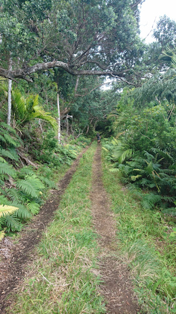 Raoul Island's version of State Highway 1