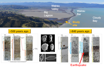 Tsunami evidence in Big Lagoon near Blenheim 