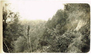 Repairing the telephone connection, Upper Buller Gorge. Berryman family.