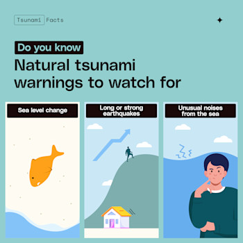 Natural tsunami warning signs