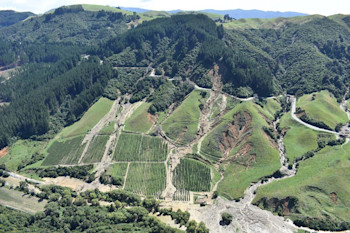 Scarred valleys where stormflows have ripped through and damaged property (Source: Tasman District Council).