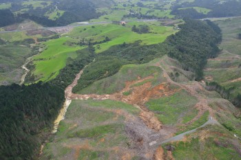 Figure 3: Photo of the small landslide dam near Puhoi. The dam is full of forestry slash and is upstream of culverts passing under SH1. Dougal Townsend, GNS Science