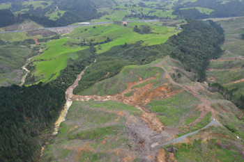 Figure 3: Photo of the small landslide dam near Puhoi. The dam is full of forestry slash and is upstream of culverts passing under SH1. Dougal Townsend, GNS Science