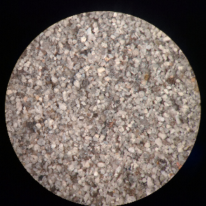 White Island ash under microscope; 250 um size
