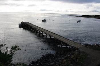 Owenga Wharf Tsunami Gauge