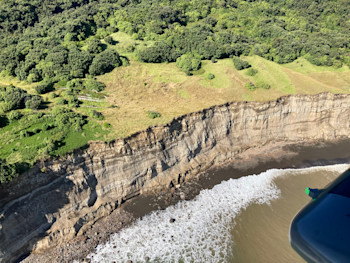 Figure 5. Cliff collapse along Bells Beach, north coast. 