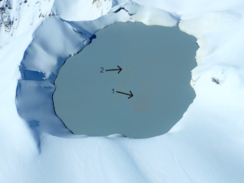 Figure 2: Aerial view of upwell area (darker grey, labelled 1) and sulphur slicks (labelled 2) on lake surface 5 October. 