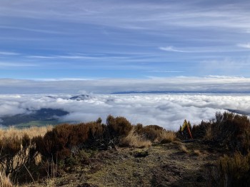 The view west from our site at Haupiri. Here we would like to build a GNSS and a seismic site to expand the network capability in the NE reaches of the Alpine Fault, which runs just past this