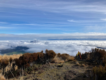The view west from our site at Haupiri. Here we would like to build a GNSS and a seismic site to expand the network capability in the NE reaches of the Alpine Fault, which runs just past this