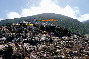 Coastal uplift caused by Kaikoura Earthquake 2016 with annotations.