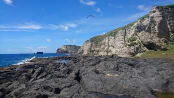 The rugged volcanic cliffs that surround Macauley Island.