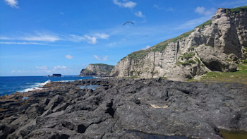 The rugged volcanic cliffs that surround Macauley Island.