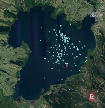 Locations of the aftershocks in Lake Taupō following the M5.6 mainshock (red icon).