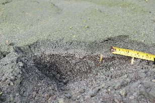 Marker pegs sheared off at ground level