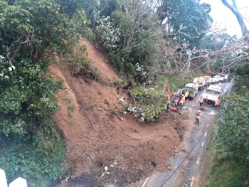 Lennel Road, Wellington. Photo/Wellington City Council.