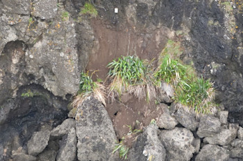 Damaged coastal sea level gauge