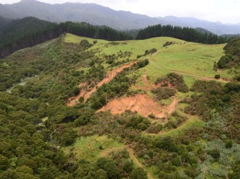 Figure 6: Landslide blockage of the south branch of Waiwhango Stream, above Koputauaki Bay, Coromandel Peninsula. Scarps (displaced cracks) have been identified near the top of the ridge (top of grassy slope in photo) which suggest potential for further displacement of this slope. Sam McColl, GNS Science  