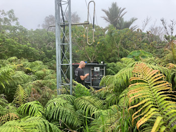 GeoNet technician Matthew Moore working at our overgrown site at Mount Moumoukai. 