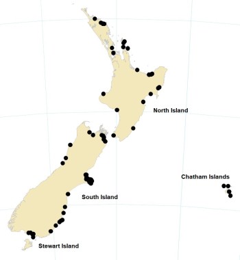Locations around New Zealand where the 1868 tsunami was observed