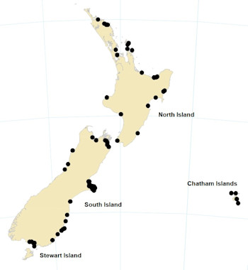 Locations around New Zealand where the 1868 tsunami was observed