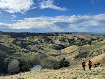 Scientists surveying heavily impacted farmland in Hawkes Bay