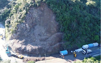 Ngaio Gorge, Monday 14 August (photo: Wellington City Council)