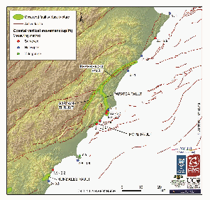 Preliminary coseismic coastal uplift measurements