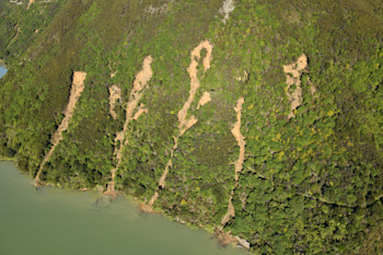 Multiple Slips into Pelorus Sound, at Cullen Point.  