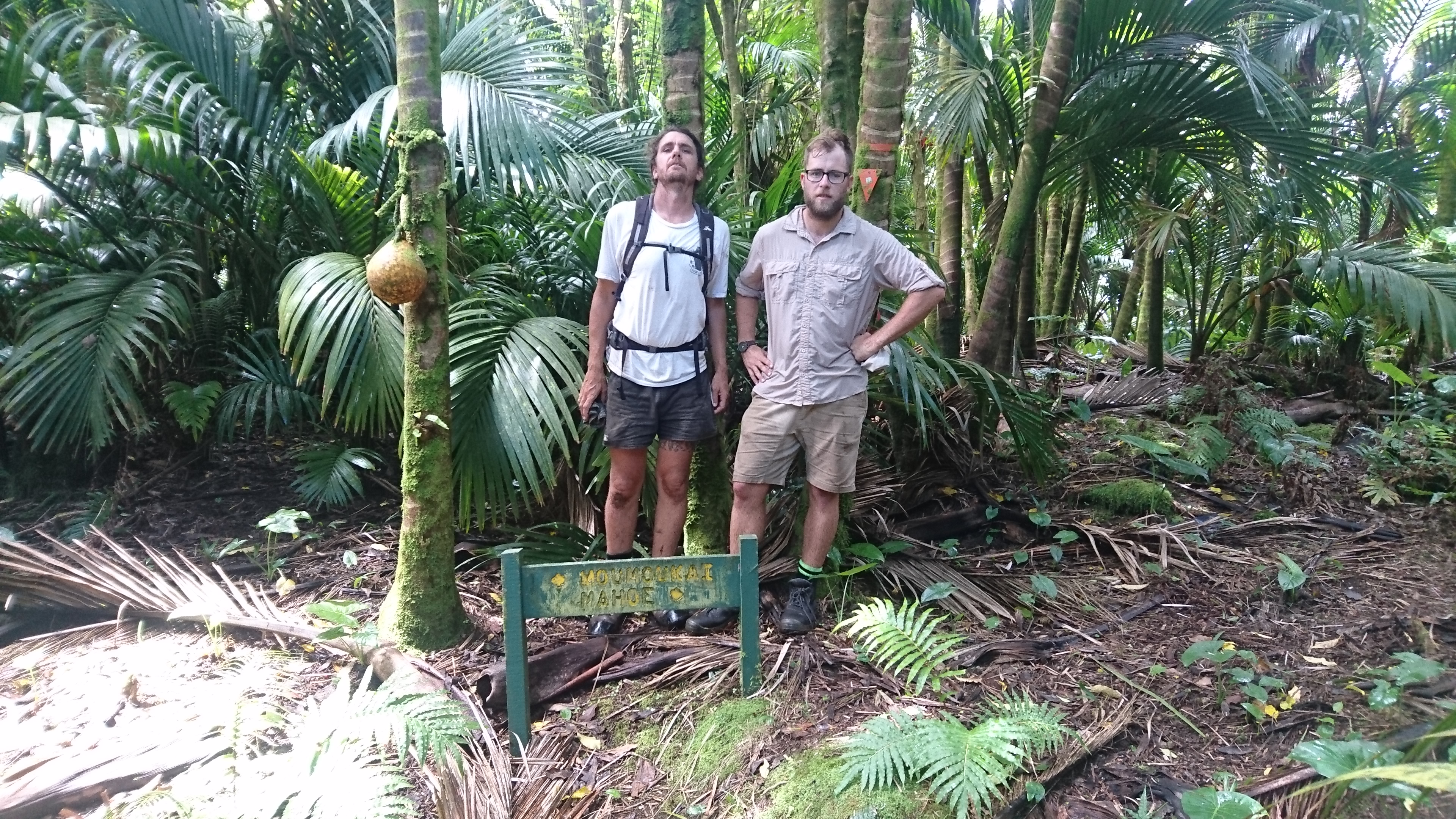 Hard working techs on the road to Moumoukai, the highest point on Raoul Island.