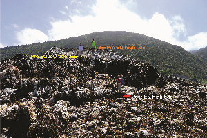 The maximum coastal uplift was near Waipapa Bay on a relatively small block of crust pushed up between two strands of the Papatea Fault.