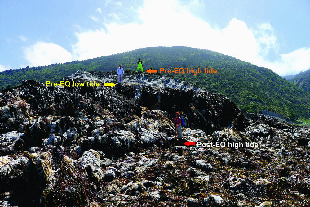 Coastal uplift caused by Kaikoura Earthquake 2016 with annotations.