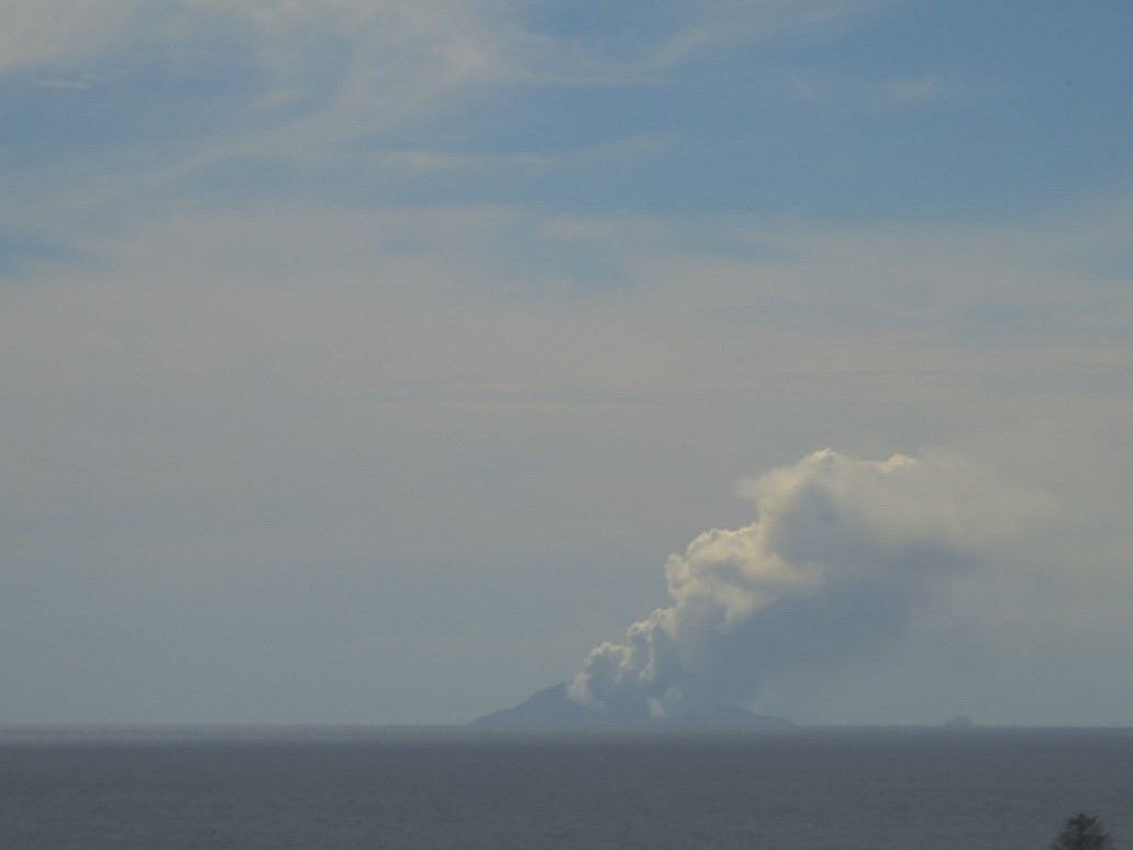 Figure 1. Image of the gas and steam plume at Whakaari/White Island on 10 December 2024 from our webcam at Te Kaha.
